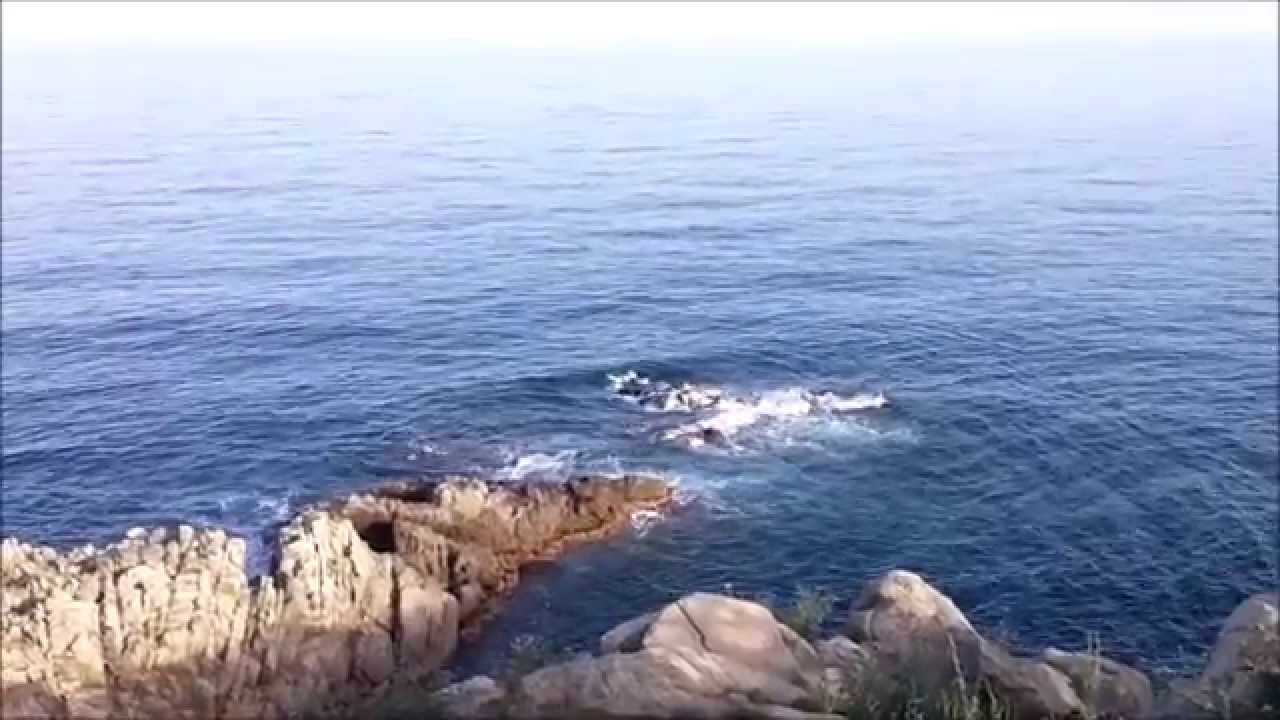 Blanes - Sa Palomera