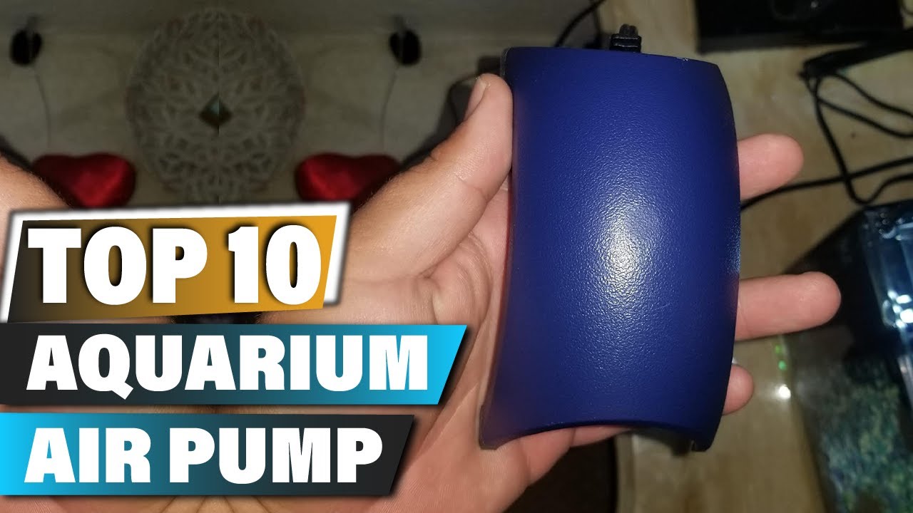 Best Aquarium Air Pumps In 2025 - Top 10 Aquarium Air Pump Review