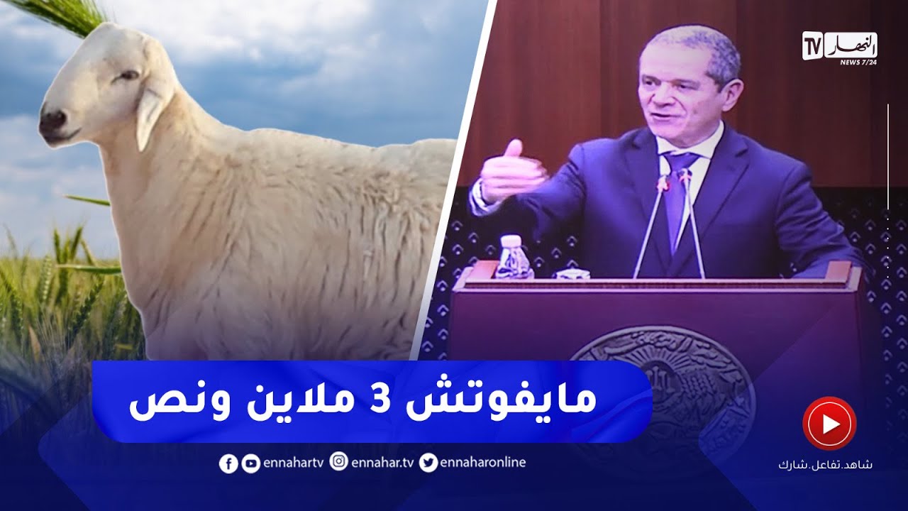 وزير الفلاحة يعلق حول فيديو المواطن الذي كشف السعر الحقيقي للخروف ..