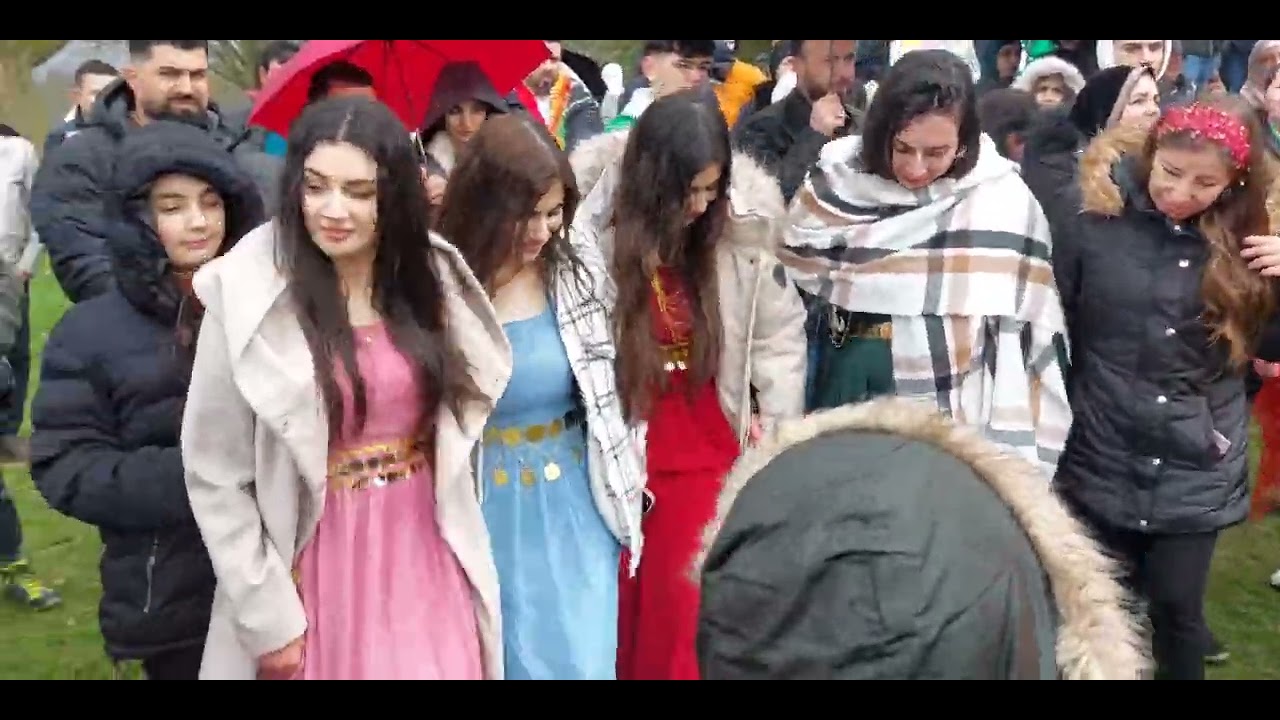 Newroz Kassel almanya #نوروز كاسل المانيا  #reels #film #dance  #video #newroz #shorts #دبكات #رقص