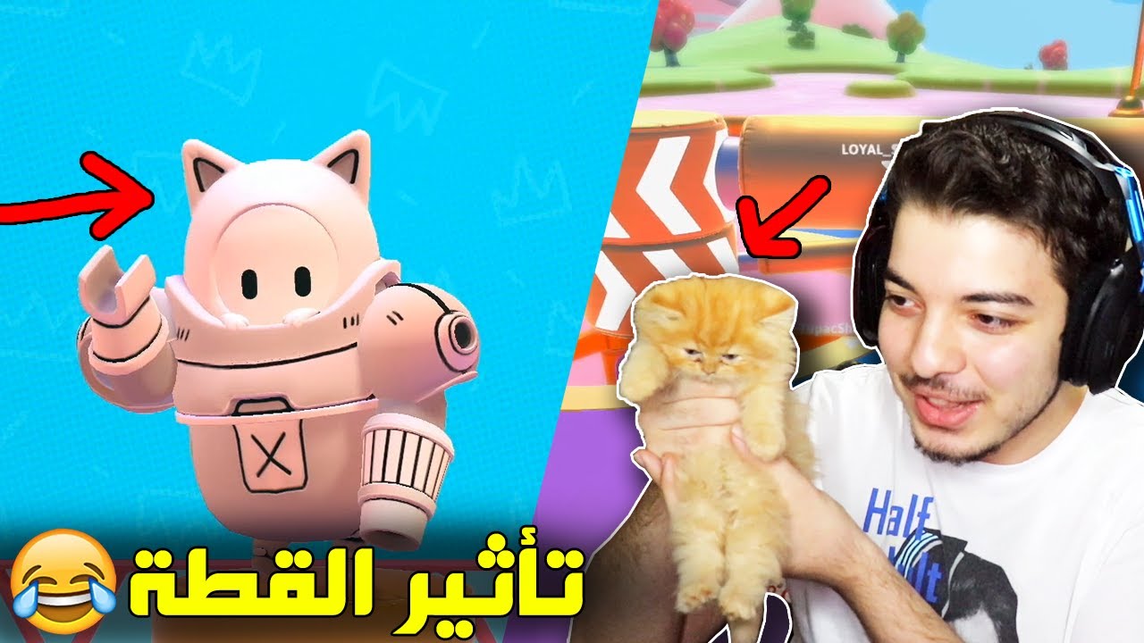 تحدي الفوز مع قطتي الجديدة في لعبة فول قايز ..! ( تأثير المياو🤣🤣 ) Fall Guys