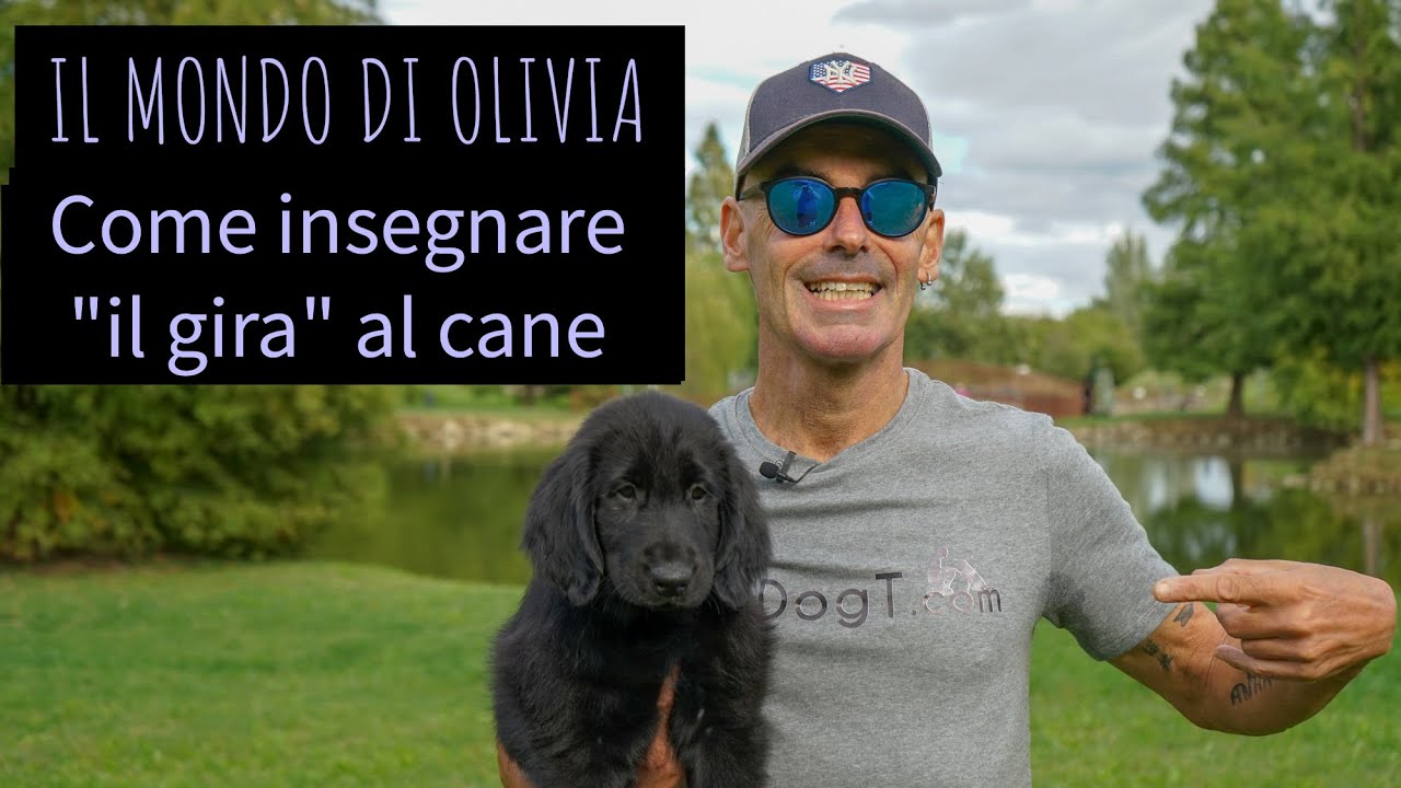 Come insegnare il gira al cane, Il mondo di Olivia