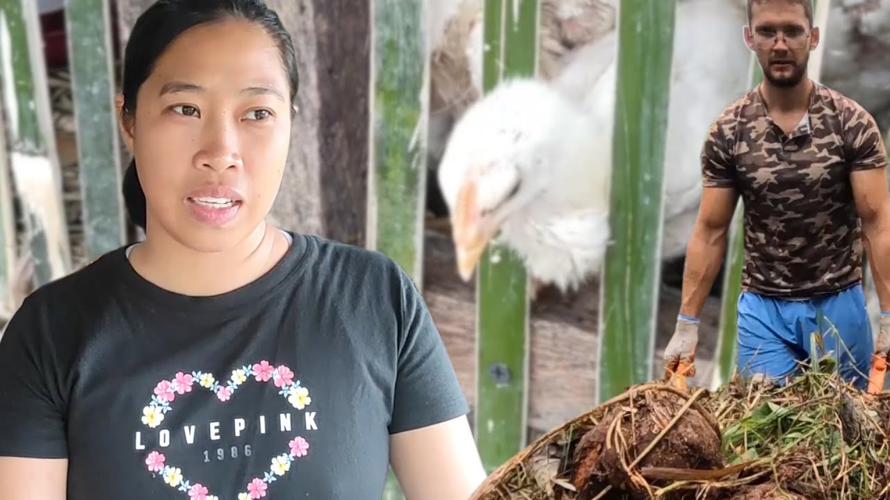 What do chickens eat on the farm | Making 