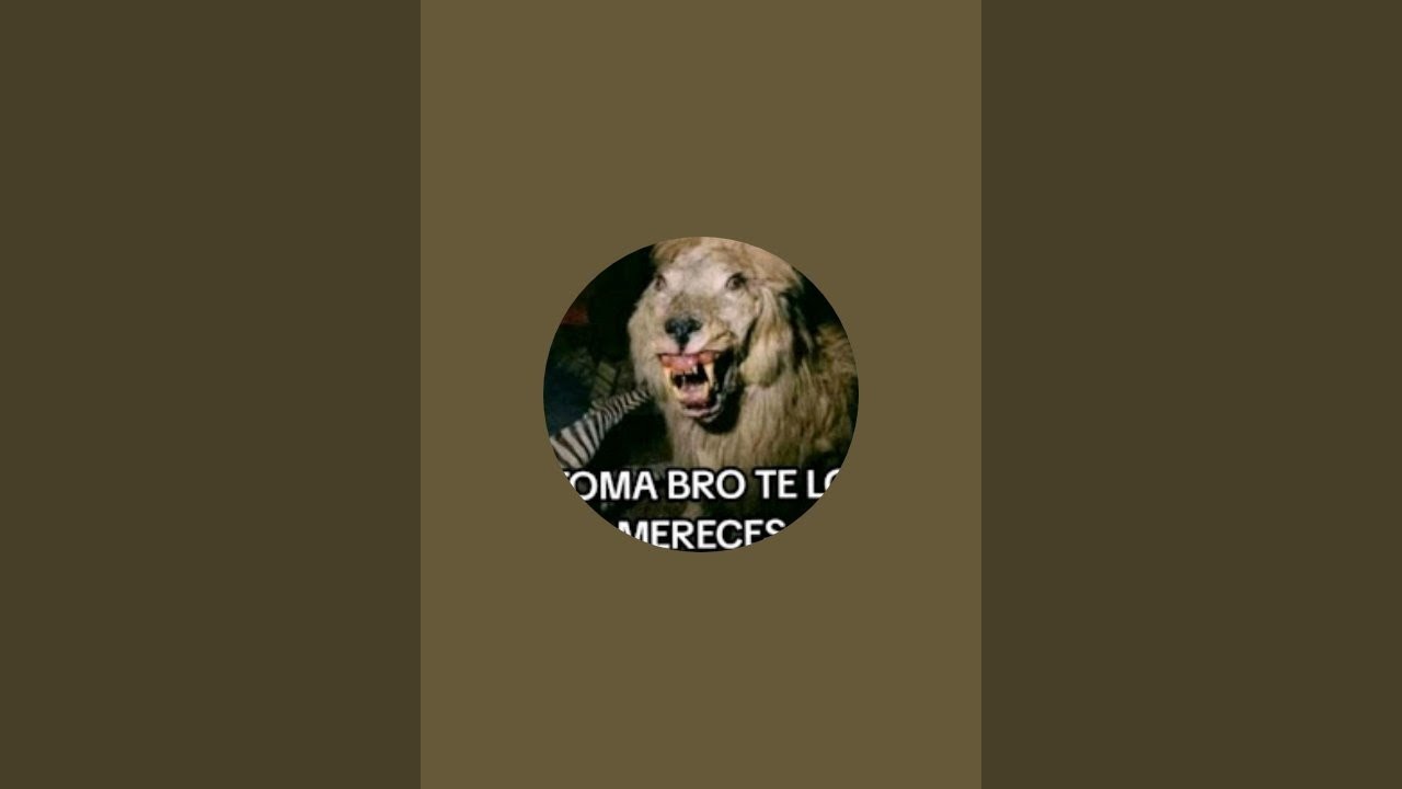 LOS FIRUS está en vivo