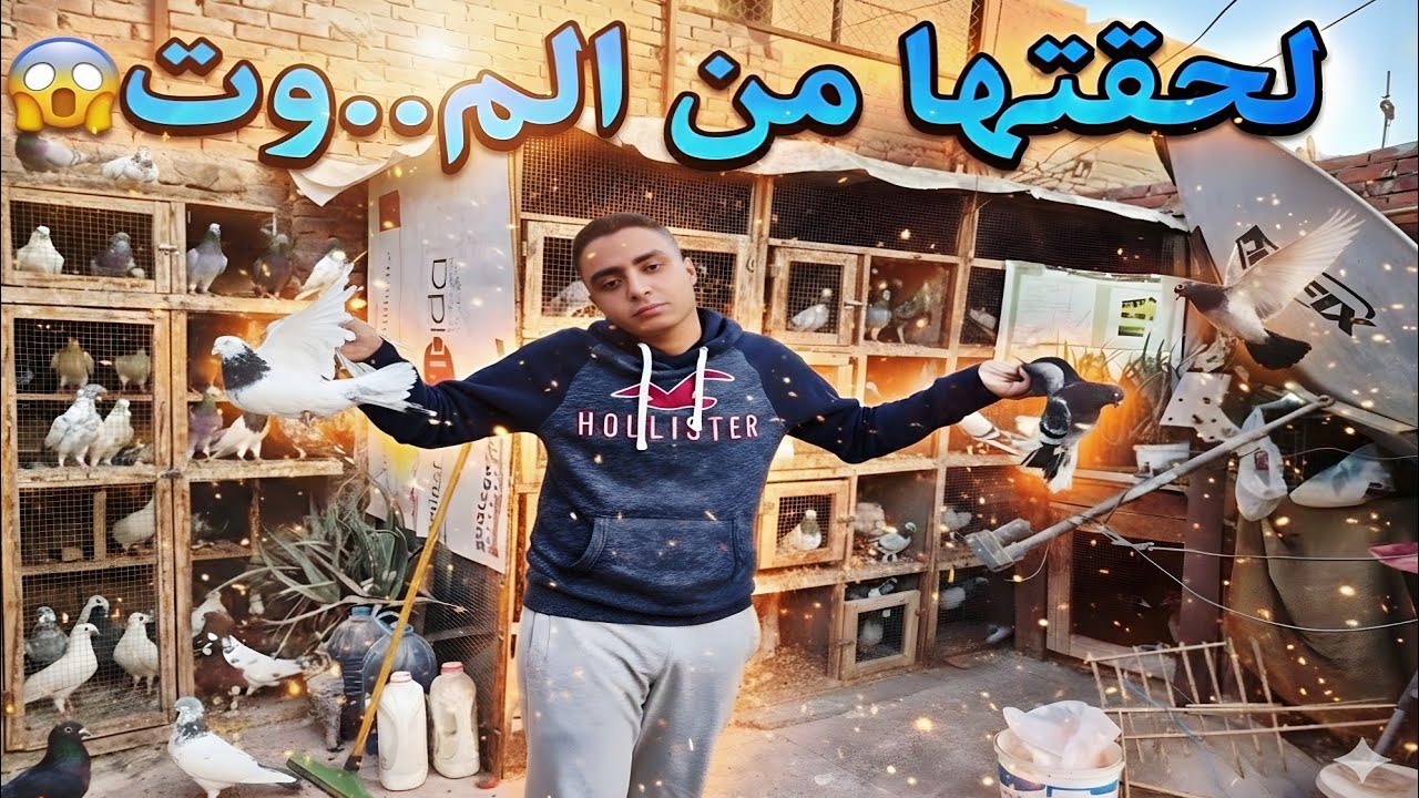 لحقتها من الم..وت😱 لقيت حاجات كتير لما طلعت عن الحمام (الفرخة رجعت تاني)  #غاوي_السلاكة 