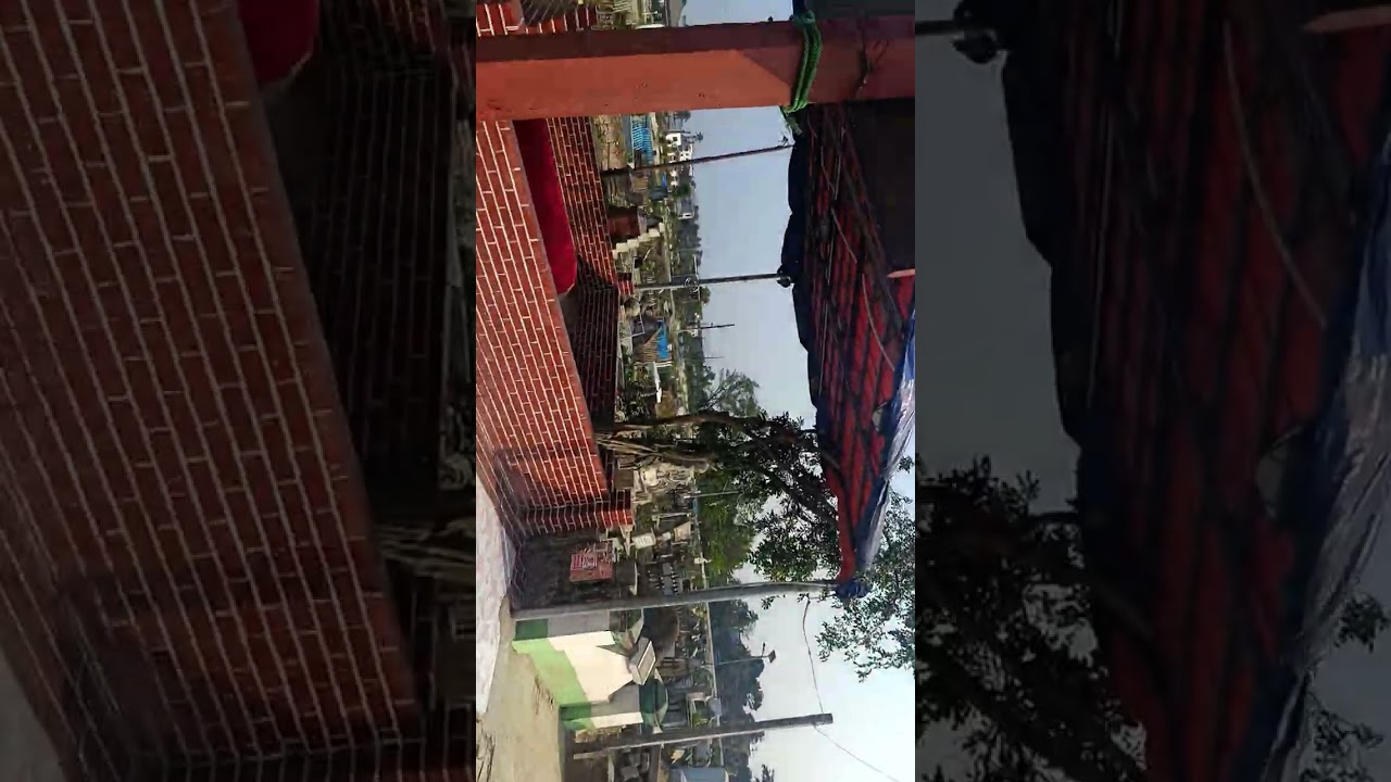 প্রত্যেক প্রাণীকেই মৃত্যুর স্বাদ গ্রহণ করতে হবে 😇😍#grave #motivation #dethuong #logic #viral 