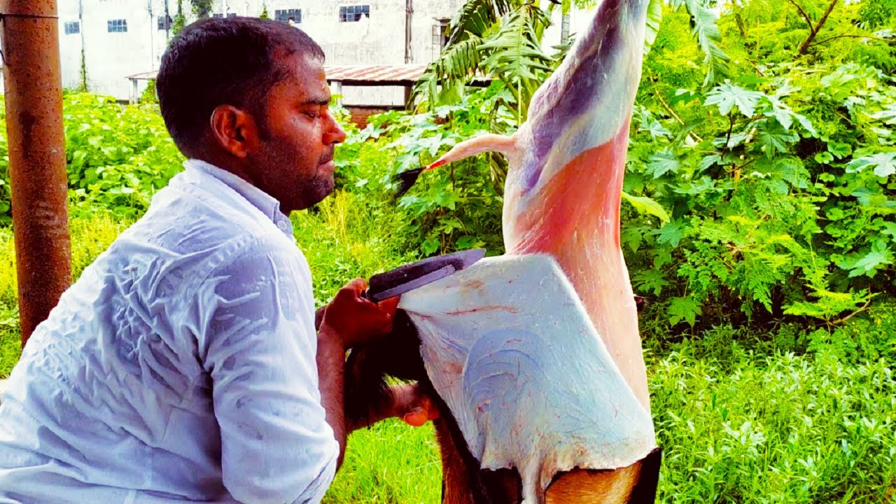 Live Goat Cutting Skill Fast Workers. Amazing Goat Cutting For Food