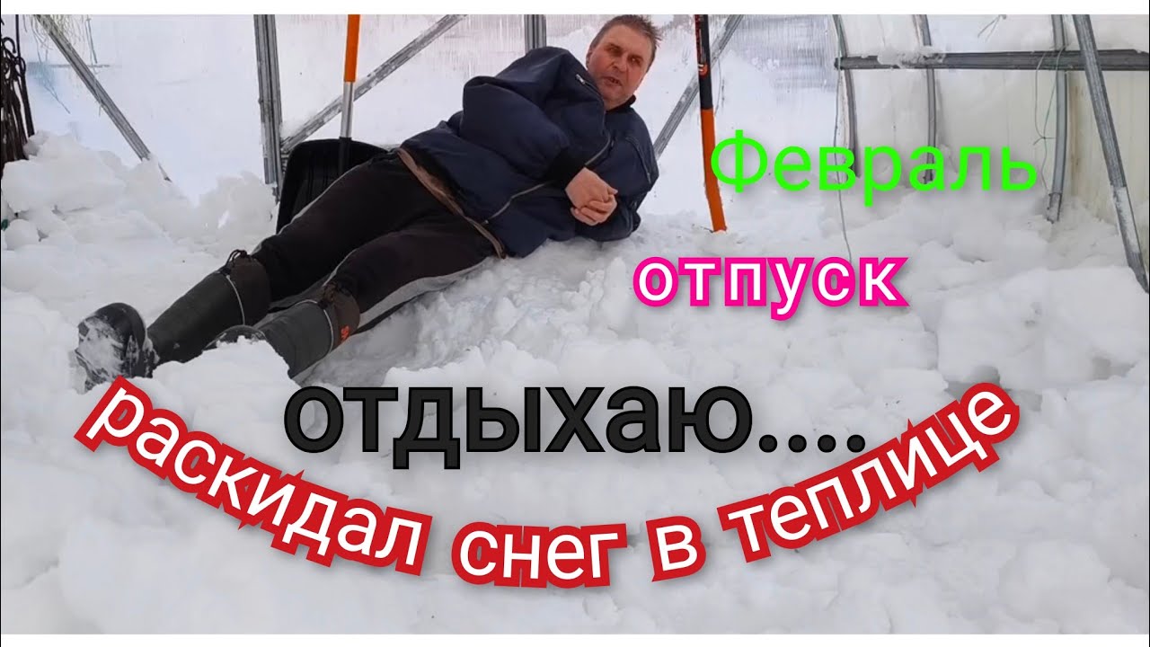 Снег в теплицу. Будни вдовца...#зима #теплица #снег 
