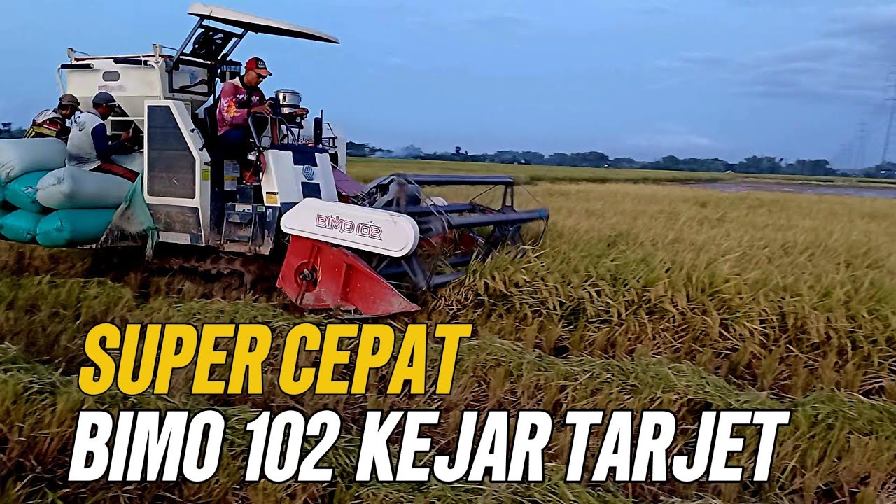 KEJAR TARJET SUPER CEPAT, BIMO 102 PANEN PADI SORE HARI