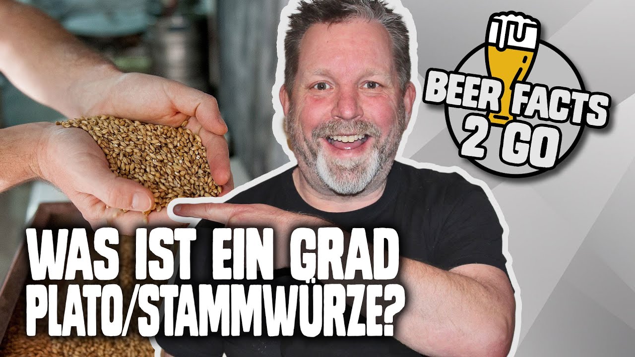 Was ist ein Grad Plato - Stammwürze | BEER FACTS 2 GO