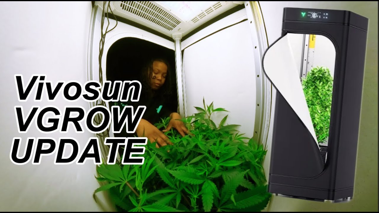 Vivosun Vgrow Smart Growbox Update