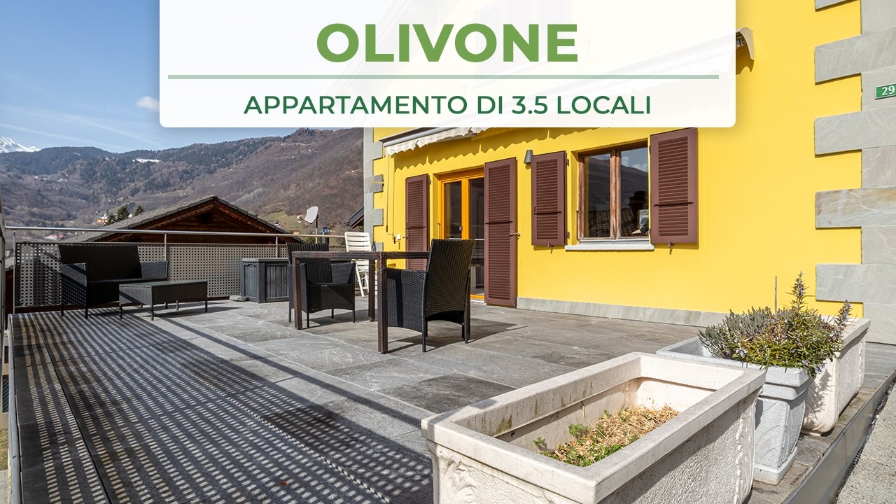 ROMANTICO 3.5 AD OLIVONE