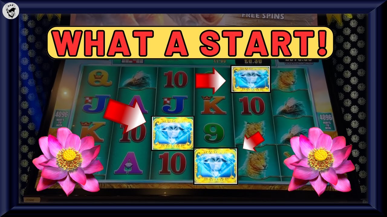 🤯 WHAT A START!!! | Rainbow Riches Pots Of Gold, Raging Rhino, Thai Flower & More