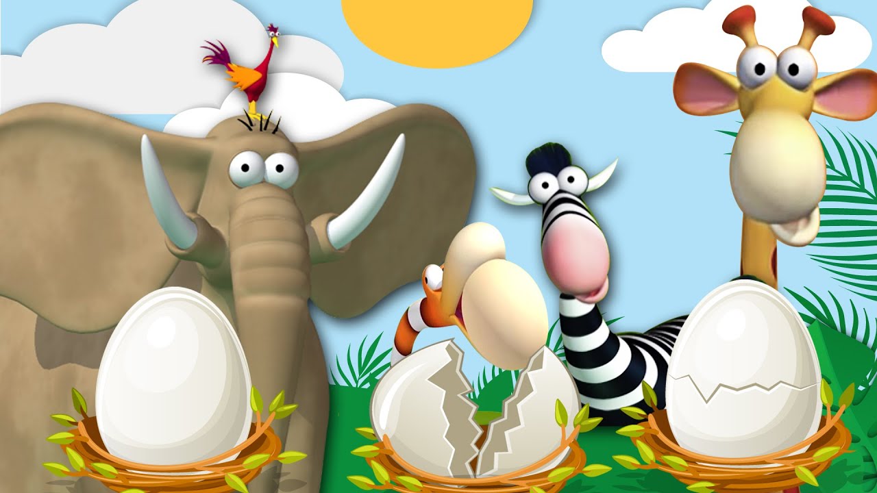 Gazoon | The Egg Shaped | Funny Animal Cartoon For Kids