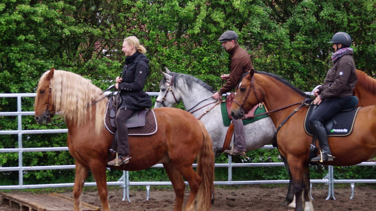 Reitkunst meets Working Equitation fertig mit Untertiteln und Abspann