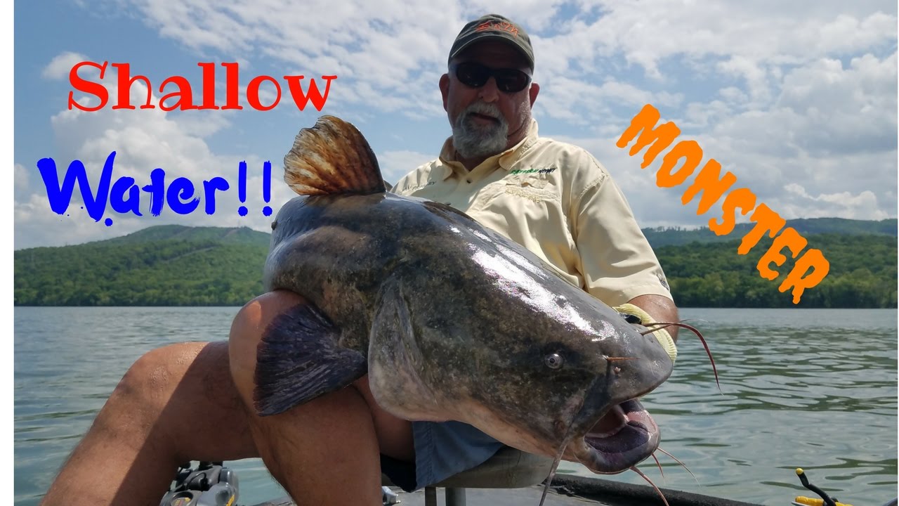Catching Monster Catfish In SHALLOW Water!!!!