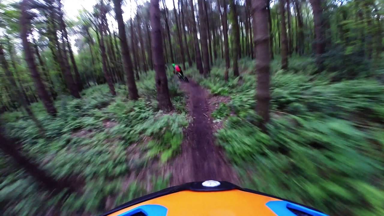 whitwick woods mtb