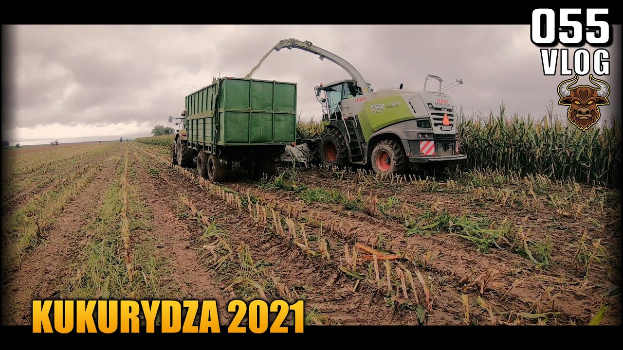 Akcja kukurydza 2021 - Pryzma od A do Z | Vlog #55