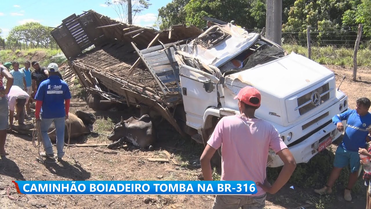 CAMINHÃO BOIADEIRO TOMBA NA BR 316