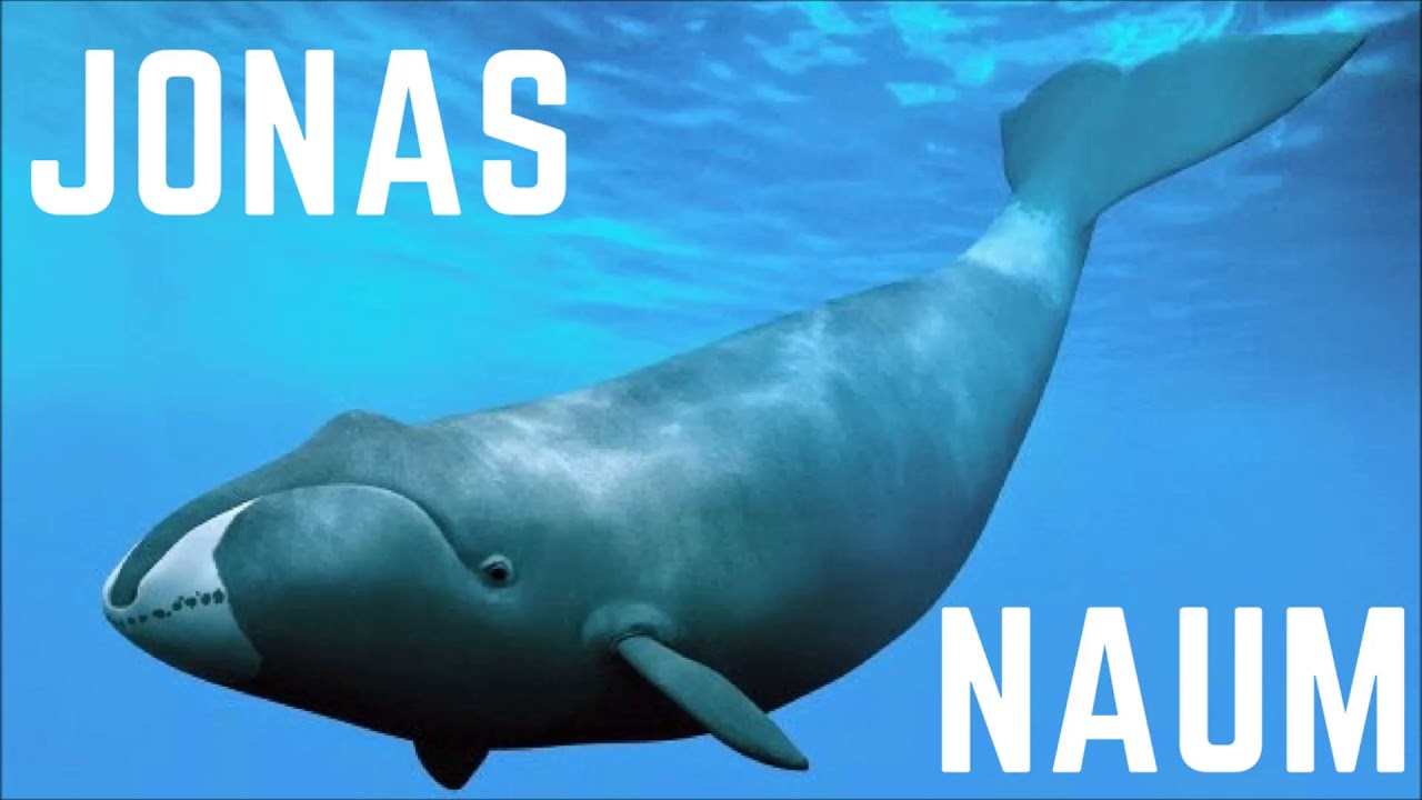 JONAS E NAUM: resumos e Aplicações