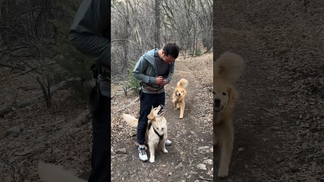 Testing my puppy’s recall off leash with high distractions