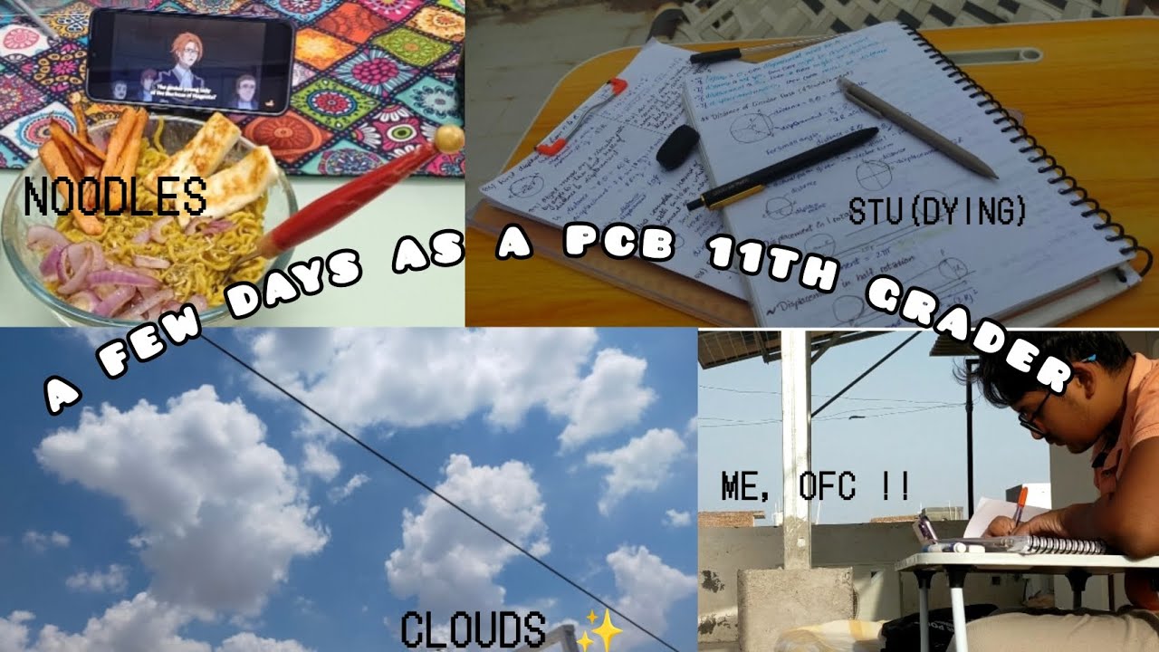 A Few Days in my Life | PCB 11th Grader | Productivity, lifestyle, studying | 