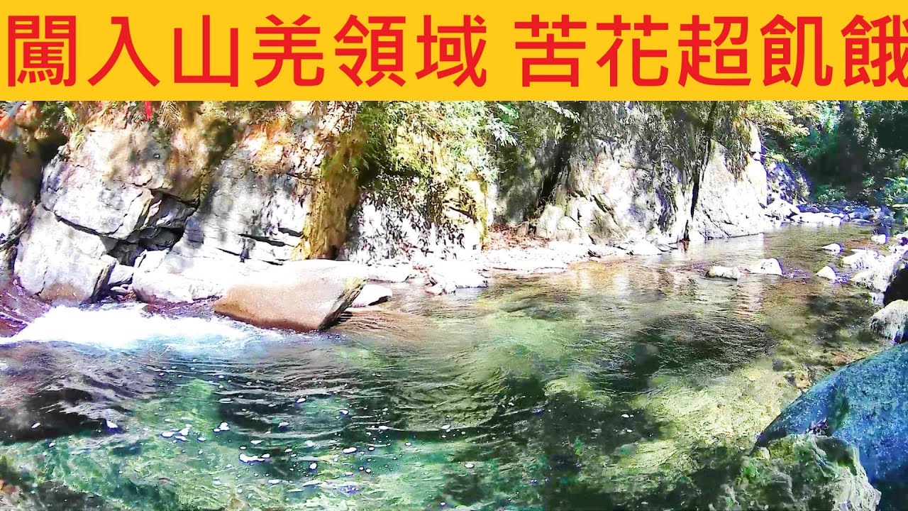 闖入山羌領域 苦花超飢餓 @深入仙境水超清澈冰涼