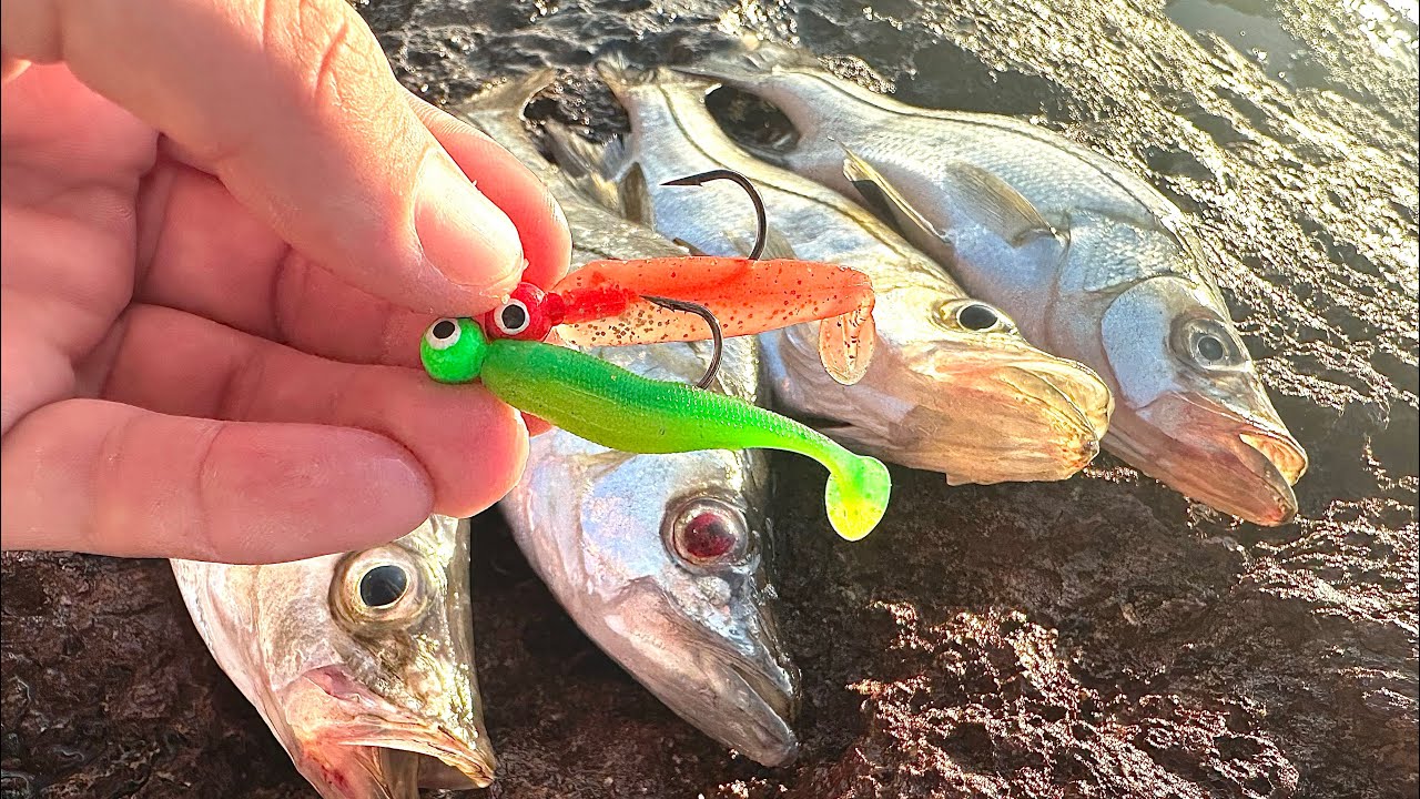 PESCA de ORILLA con MINI VINILO // pesca con Roger