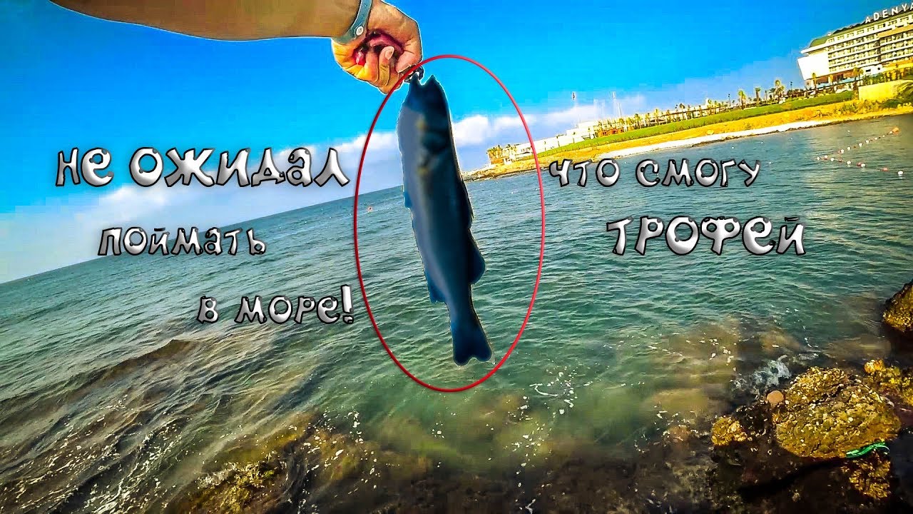 НЕ ОЖИДАЛ что смогу поймать ТРОФЕЙ в море! Турция часть 1.