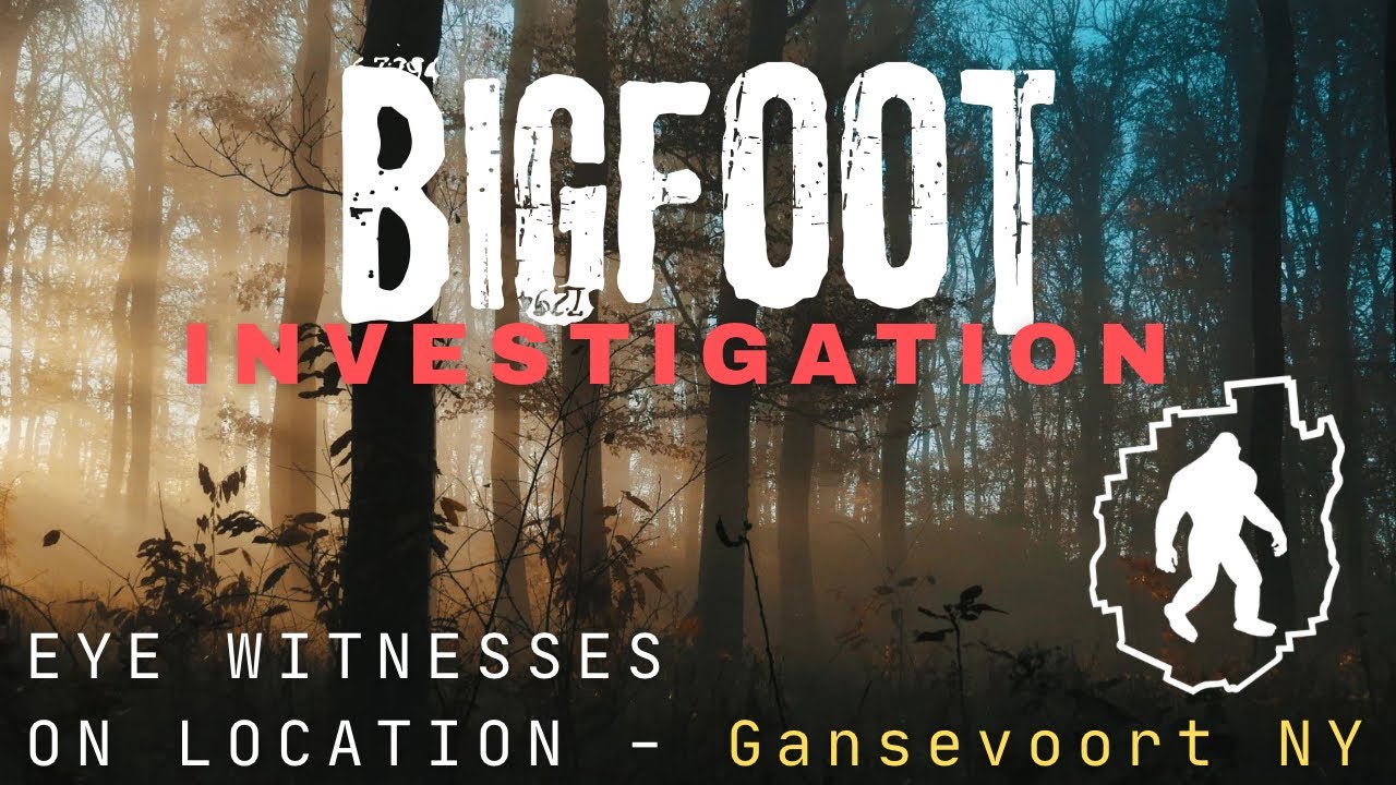 Bigfoot investigation- Gansevoort NY