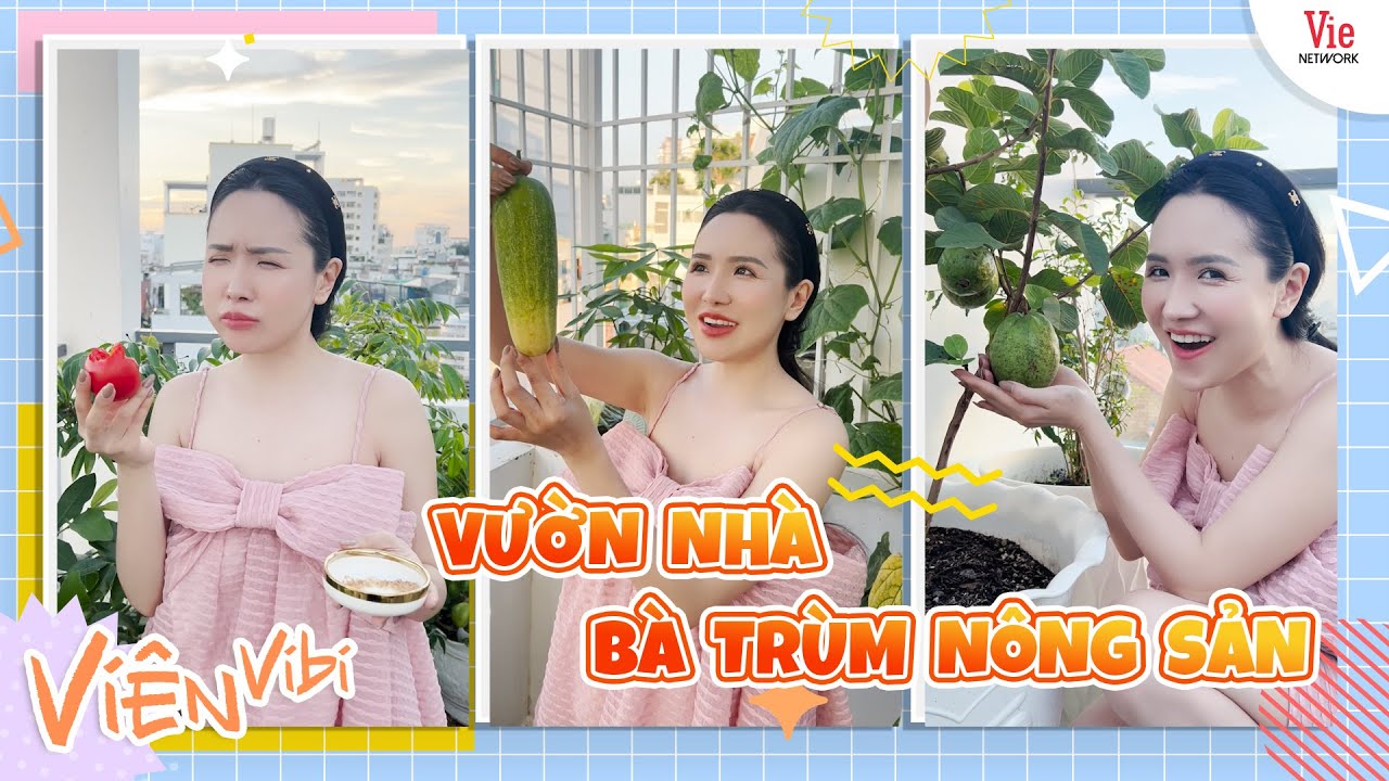 Bà trùm nông sản lâu ngày ngoi lên vườn thượng uyển thu hoạch thành quả | Viên Vibi Vlog