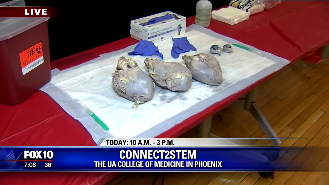 University of Arizona Helping Fuel Kids Interest In Science