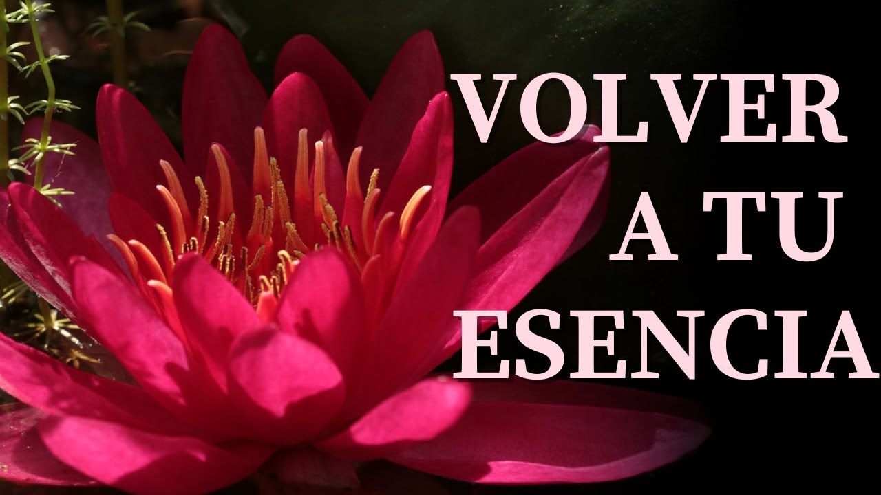 MEDITACI&Oacute;N PARA RECUPERAR TU PODER INTERIOR * Mal de Amores - Depresi&oacute;n - Frustraci&oacute;n