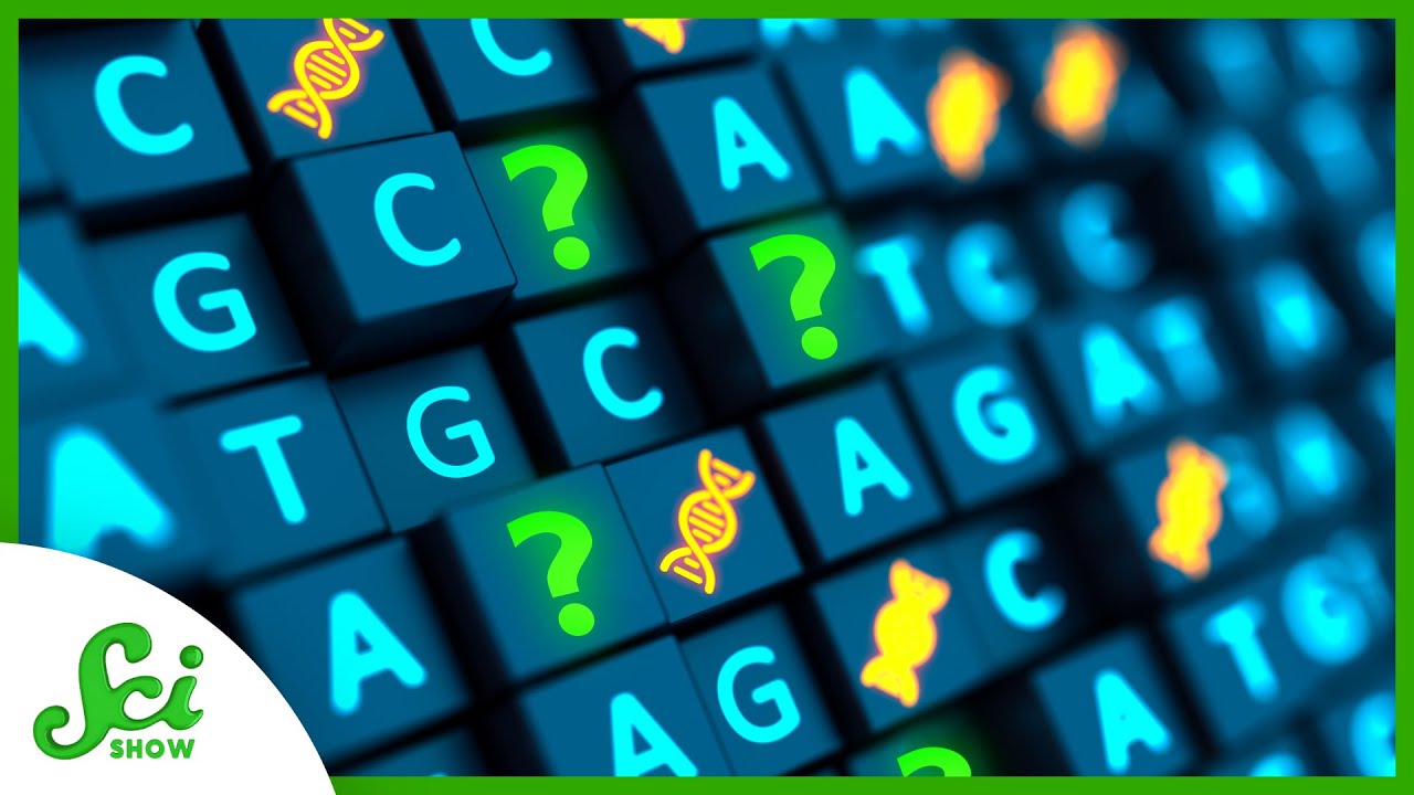 We Hadn't Sequenced the Human Genome...Until Now | SciShow News