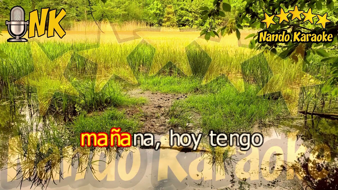 HOY TENGO GANAS DE TI - Miguel Gallardo Karaoke