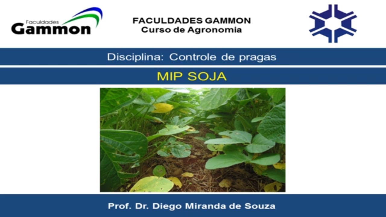 Manejo Integrado de Pragas na Soja _ MIP Soja