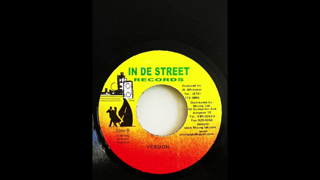 The Bug Riddim Mix (In De Street Records, 1999)
