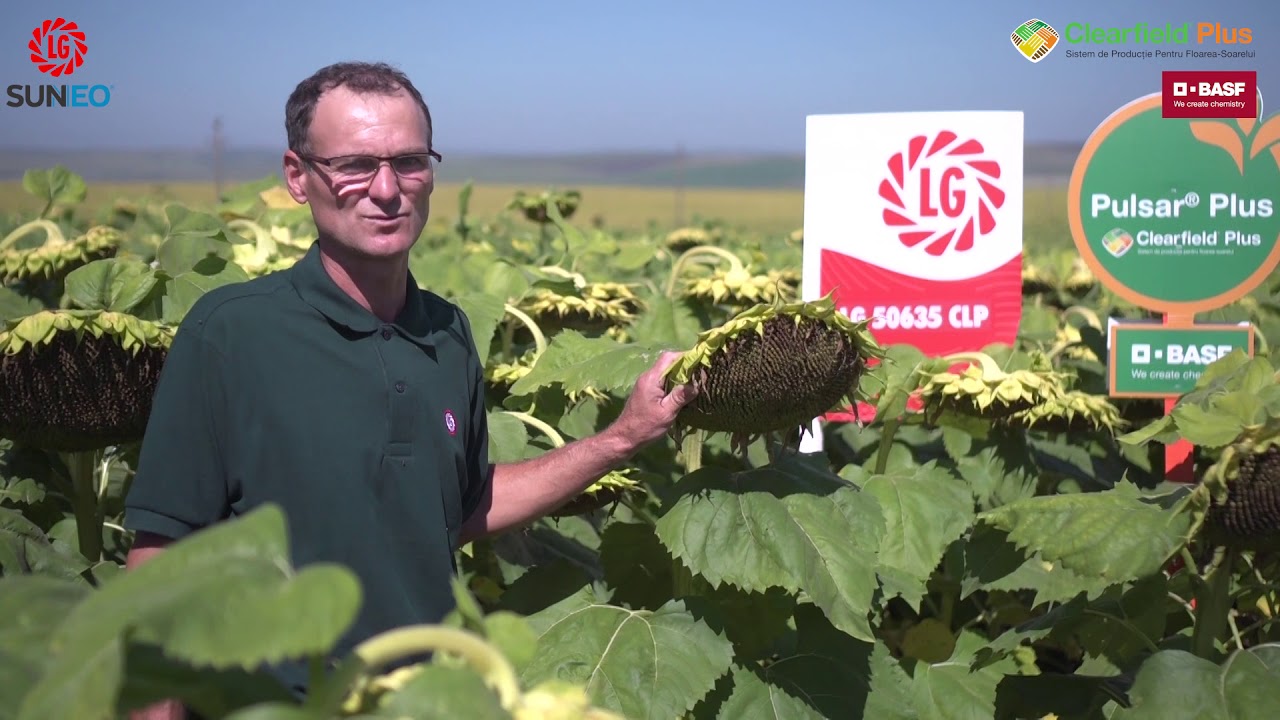 Limagrain & BASF continua parteneriatul de succes in zona Moldovei