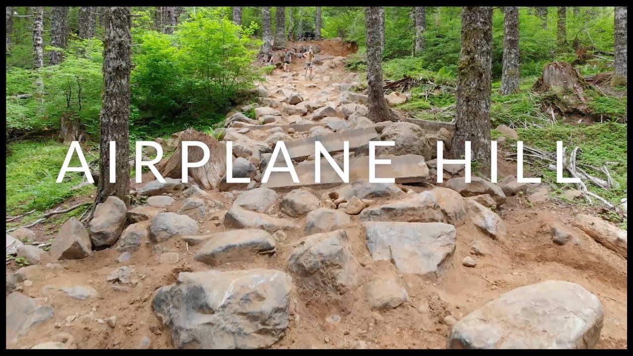 Browns Camp OHV - Airplane Hill and Cedar Tree