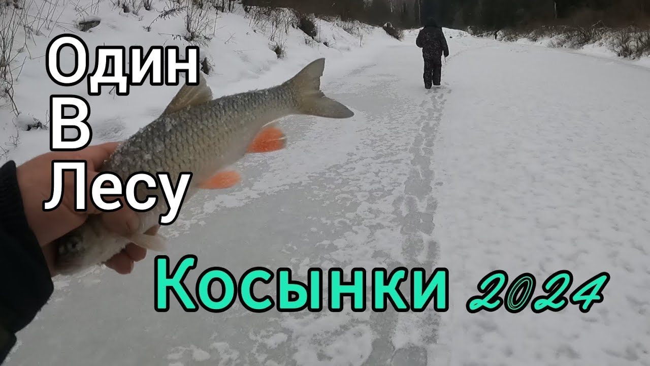 РЫБАЛКА НА КОСЫНКИ 2024-2025. КАК ЖЕ ТАК? ПРОПАЛА КОСЫНКА. СНОВА ГОЛАВЛИ.