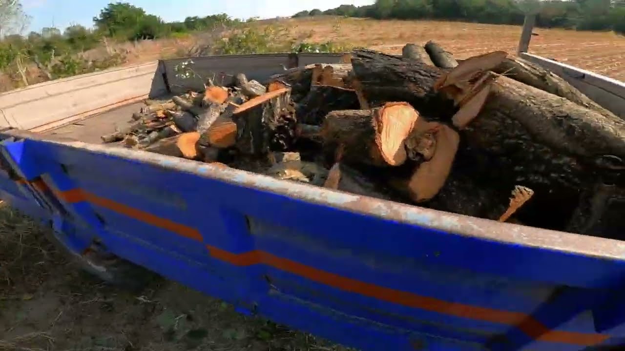 Türk Fiat 480 ile Odun Kesmeye Gittik | Bahçedeki Hasta Meyve Ağaçlarını Motorlu Testere ile Kestik🌲