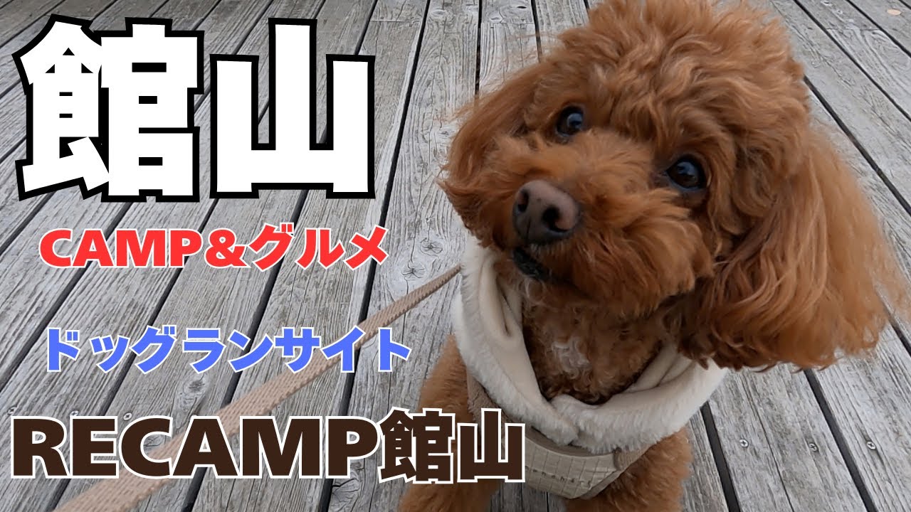 RECAMP館山ドッグランサイトCAMP&グルメ