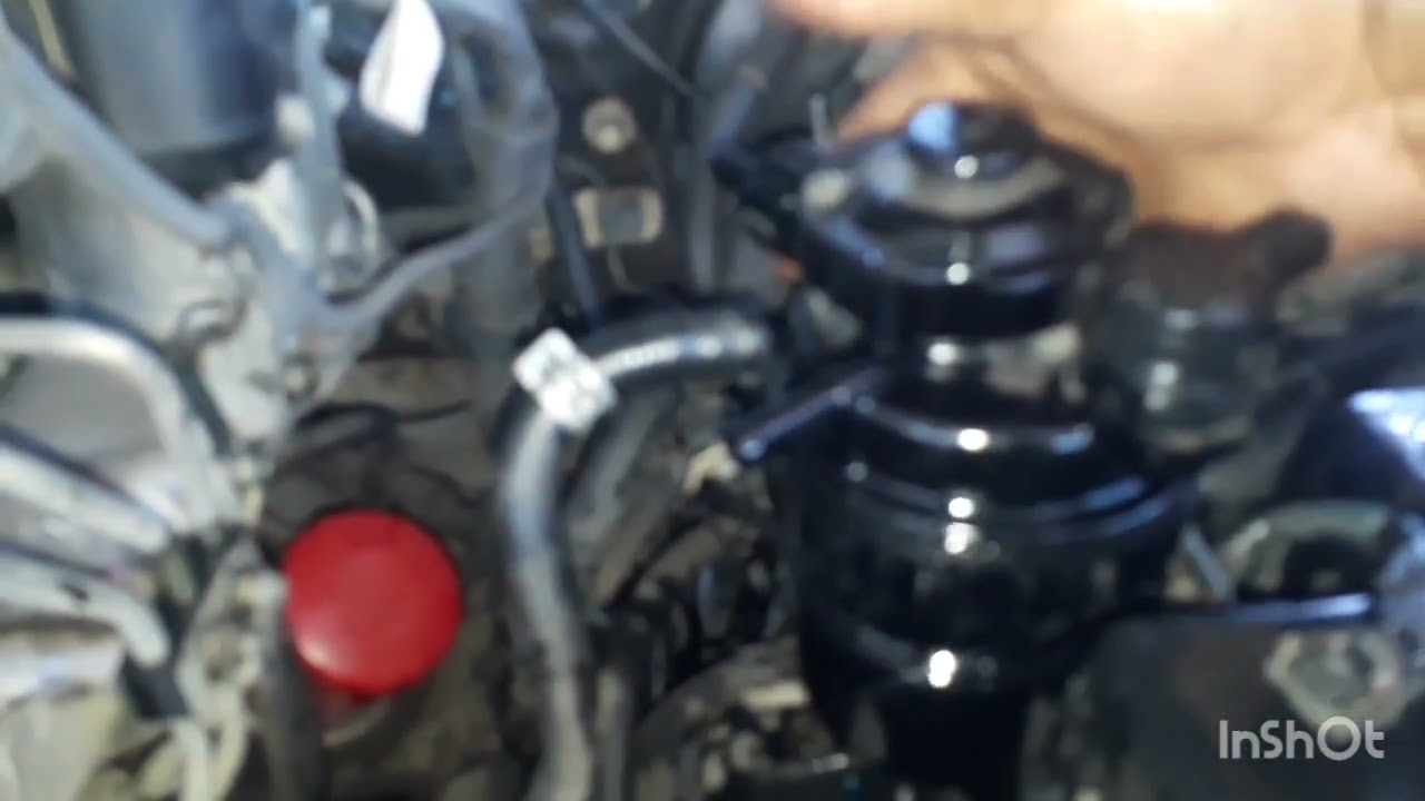 cambio del filtro de gasoil Toyota Hilux
