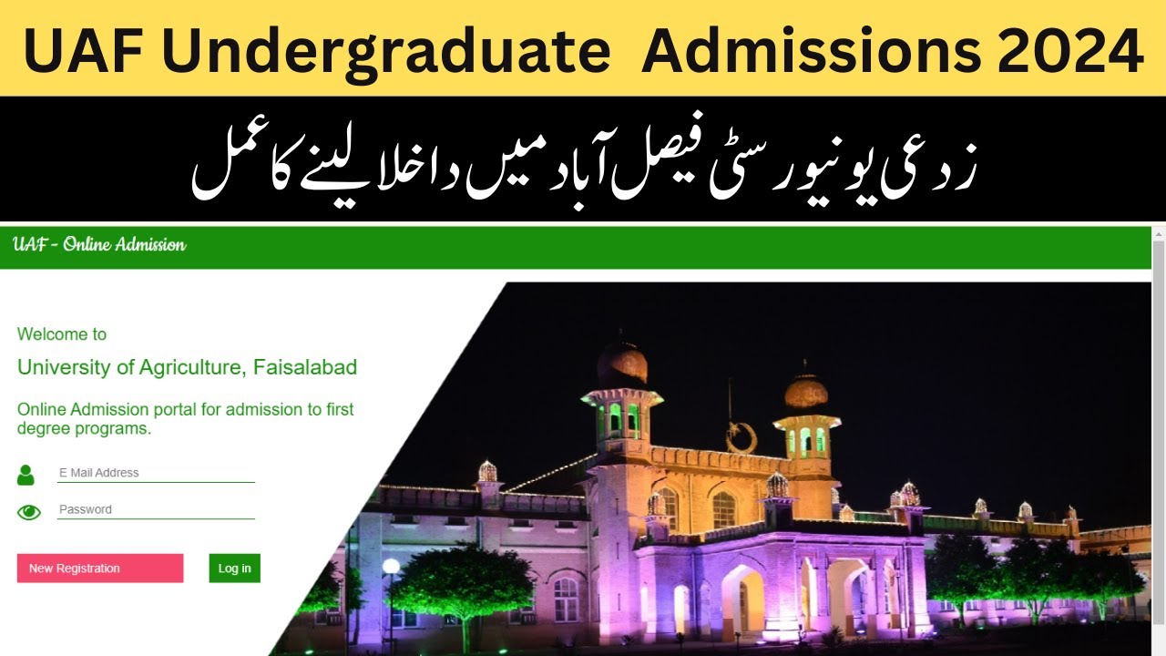 How to Apply for UAF Entry Test| UAF Undergraduate Admissions 2024 | Step-by-Step guide