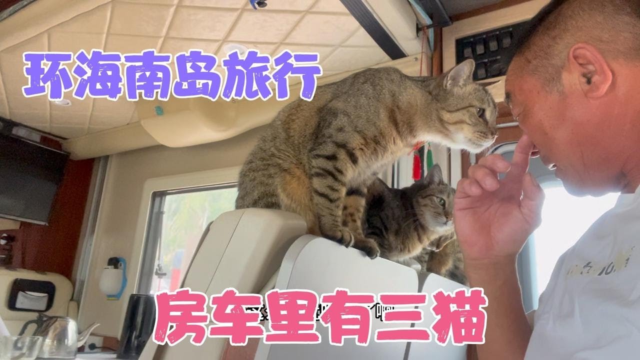 东方市刮风，一脚油门来到乐东莺歌海镇，渔民捕回来的鱼都不认识
