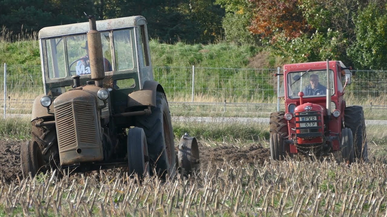 Munktells BM20 Working Hard in The Field Ploughing w/ 2-Furrow Plough | Swedish Agriculture