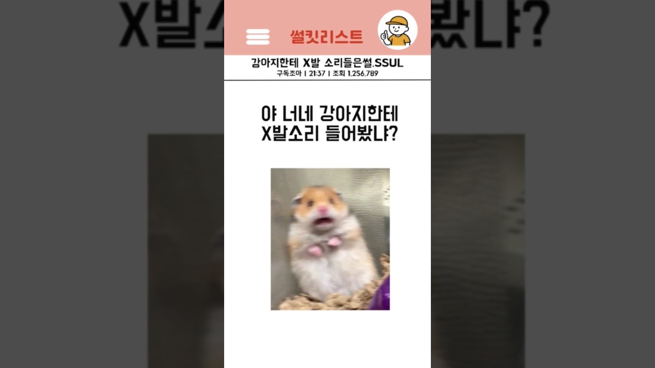 강아지한테 X발 소리들은썰.SSUL  