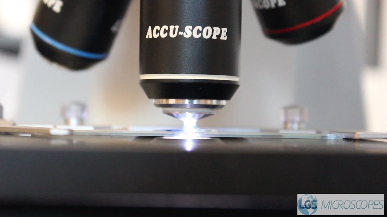 How To Use A Clinical Microscope