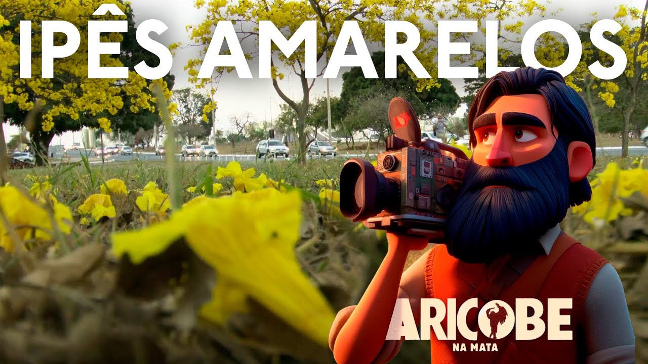 LIVE IPÊ AMARELO - BRASÍLIA @aricobenamata #ipe, #brasilia, #aricobenamata