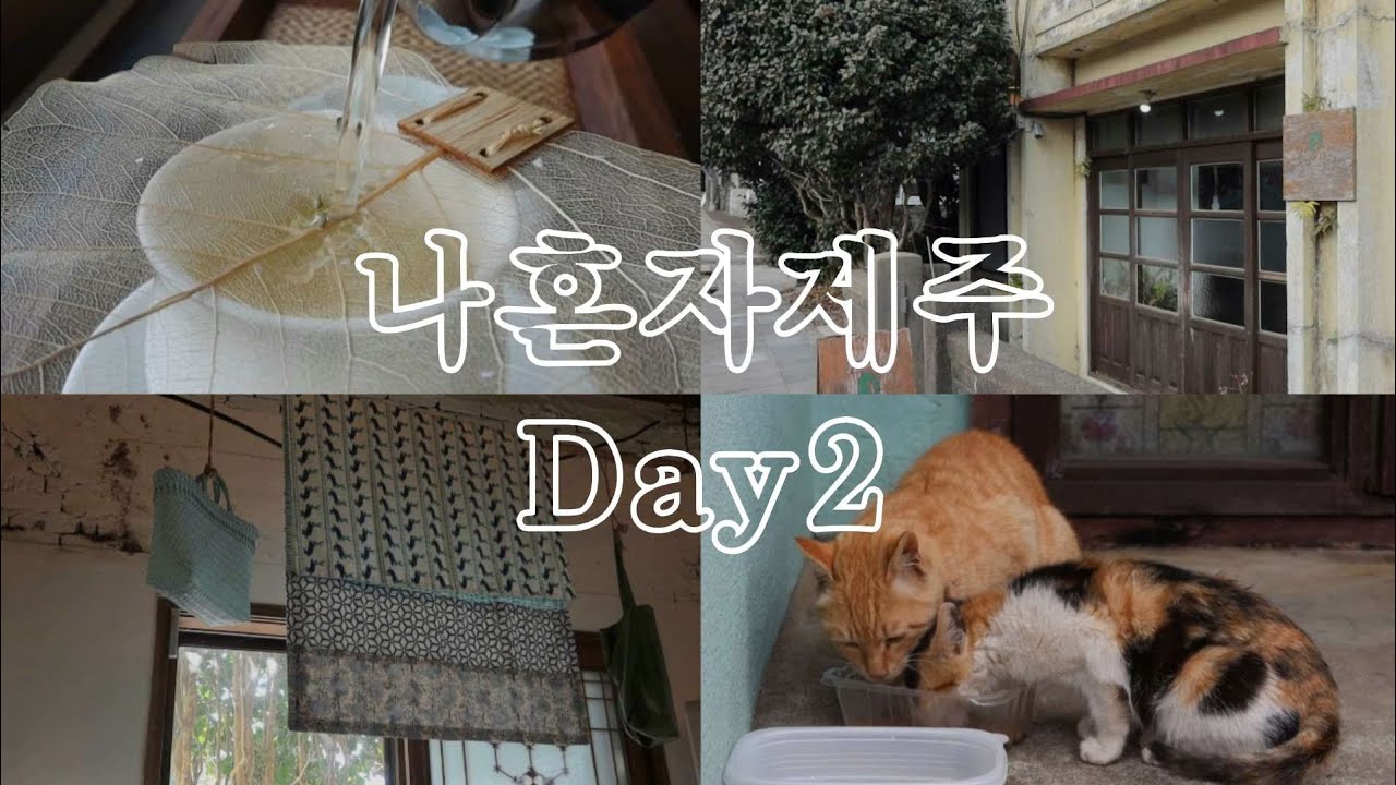미니멀하게 나 혼자 제주 Ep2. 이토록 완벽한 구좌라니 | 해월정 소심한책방 동당서림 술의식물원 차한모금 만나책방